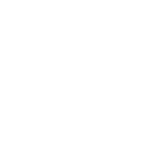 Microsoft partner