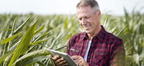 application-infrastructure-managed-service-thumb