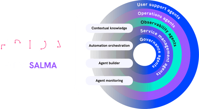infographic-frida-salma-desktop-digital-operations infographic-frida-salma-desktop-digital-operations