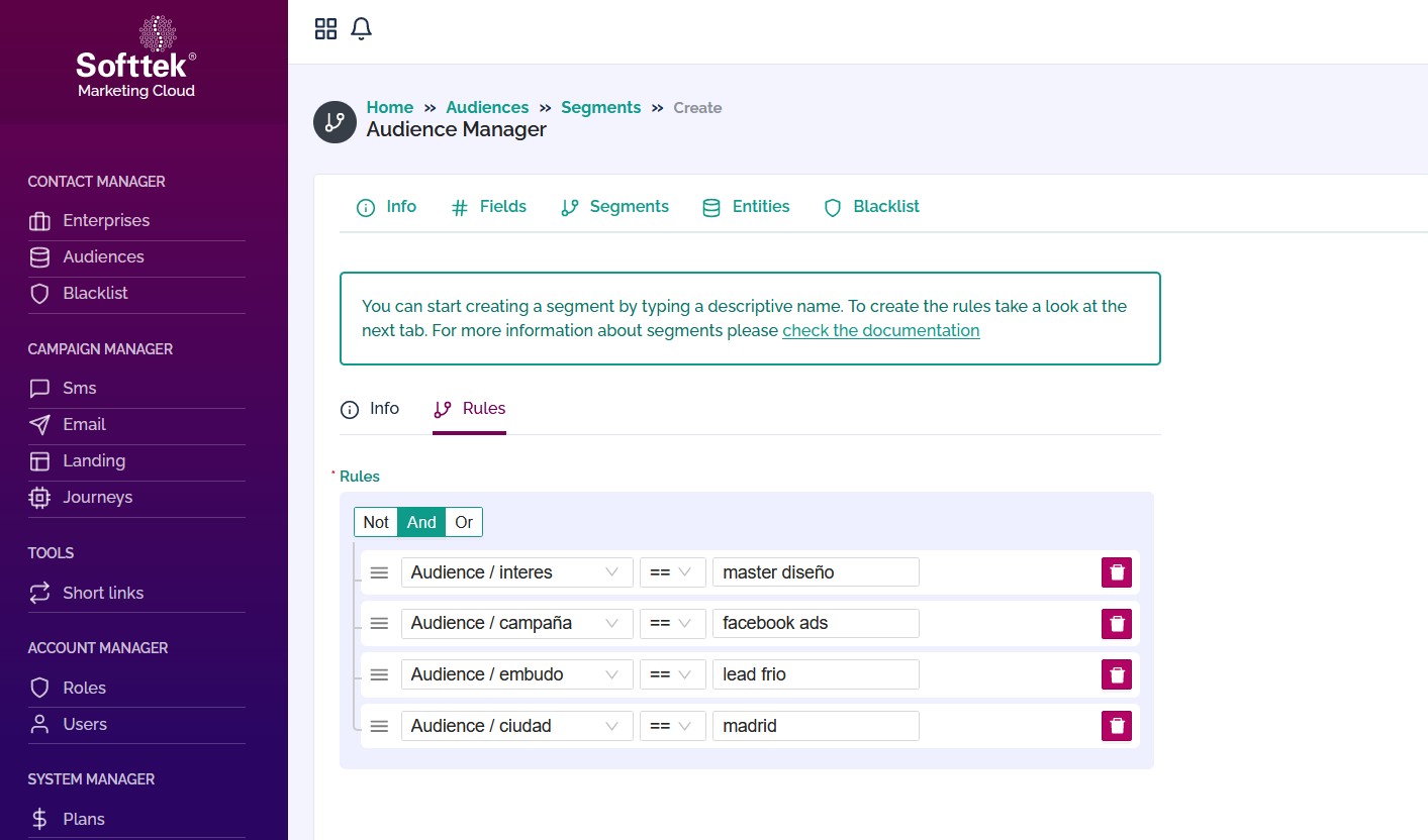 Softtek Campaign | Lead Nurturing